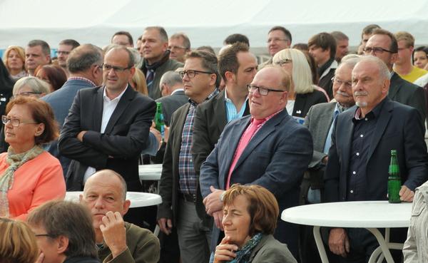 Click on the photo for the original