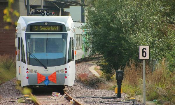 Click on the photo for the original