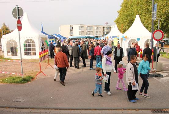 Click on the photo for the original